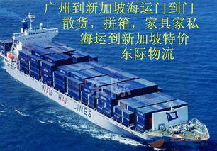 中國服裝批發海運到新加坡 廣州海運新加坡 拼箱海運